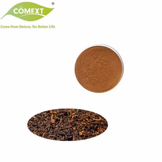Comext 100% Natural Mejor Precio Polvo Puer Tea Extracto Natural de Té Puer 10:1